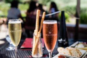 意甲联赛全部比赛结果汇总,2023-2024赛季意甲联赛比赛全部结果